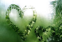 欧博官网体育：[NBA]莫兰特就地反抢 抓球反击上篮一条龙.